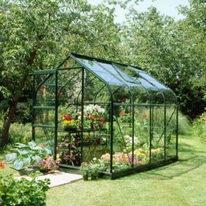 Green Frame Toughened Glass Greenhouse 10 x 6 - What Shed