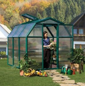 6 x 6 Rion Eco Grow Greenhouse