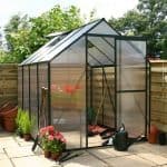 Greenhouse 8 x 6 Waltons Extra Tall Polycarbonate Clip Model