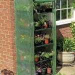 Walk In Greenhouse - 5 x 3 Gardman Compact Walk In Greenhouse