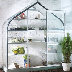 B&amp;Q 6X2 Toughened Safety Glass Wall Garden Greenhouse