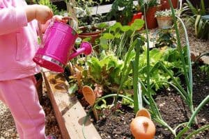 Little Green Fingers