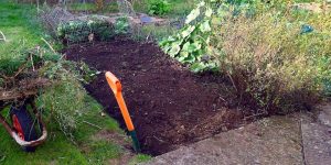 Allotment Heaven