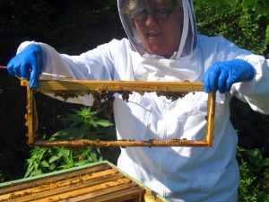 Bee Keeper Linda