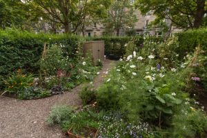 Edinburgh Garden Diary