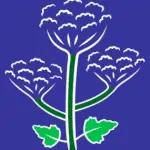 giant hogweed icon