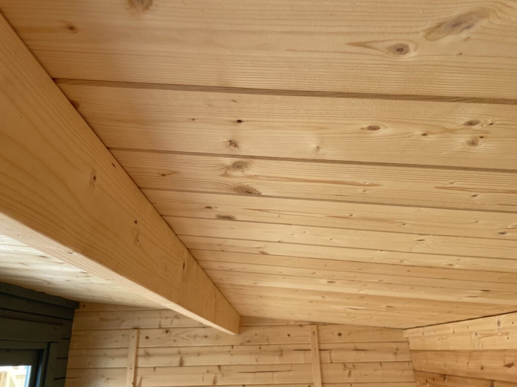 Interior view showcasing timber ceiling with pent roof design