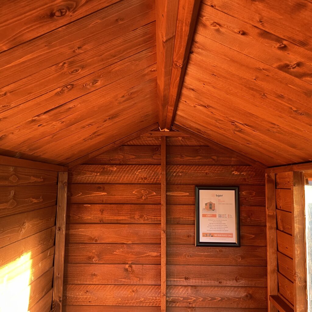 Interior view of a Tiger Overlap Apex Shed showcasing wooden walls and apex roof structure