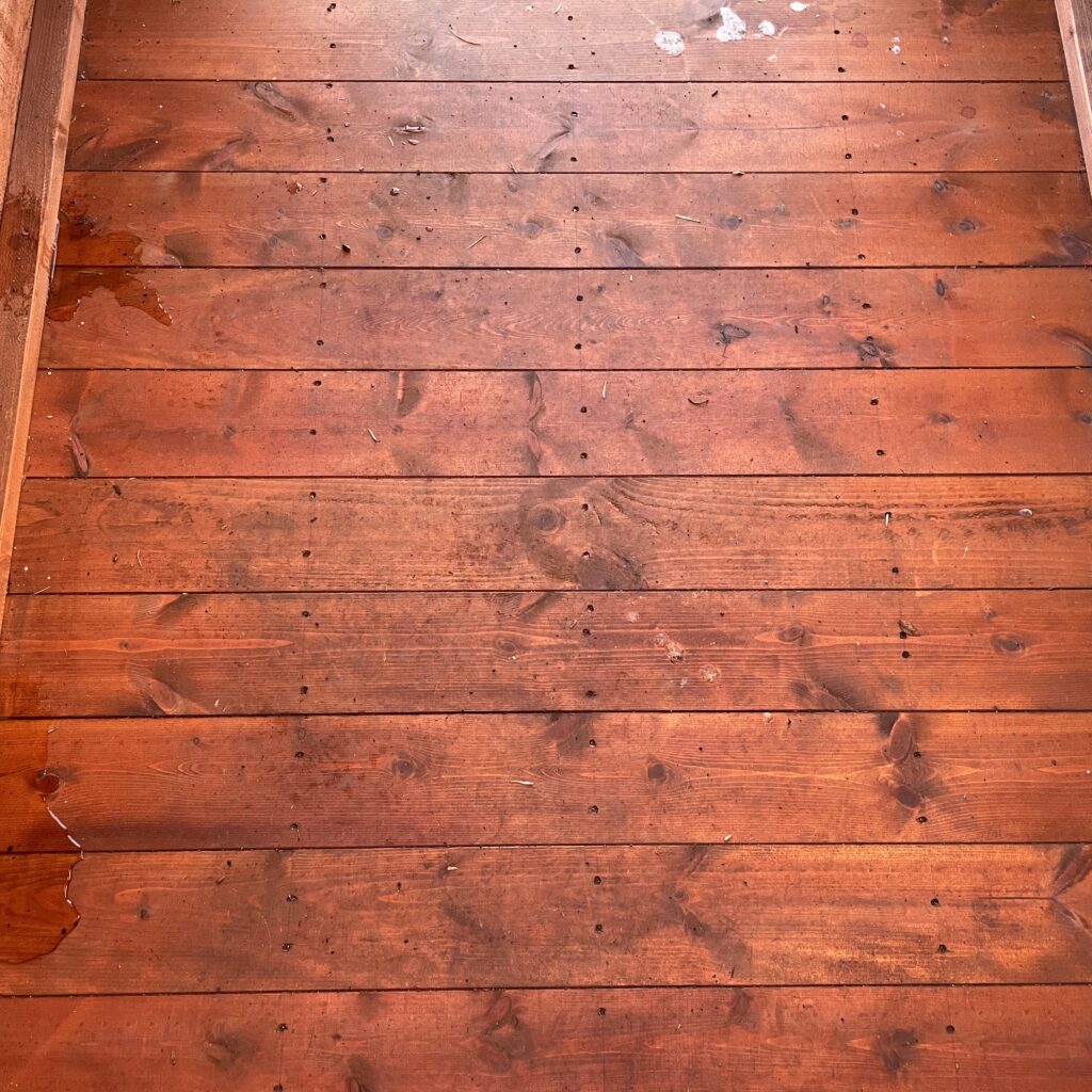 Wooden floor of a Tiger Overlap Apex Shed, showing natural grain and water marks