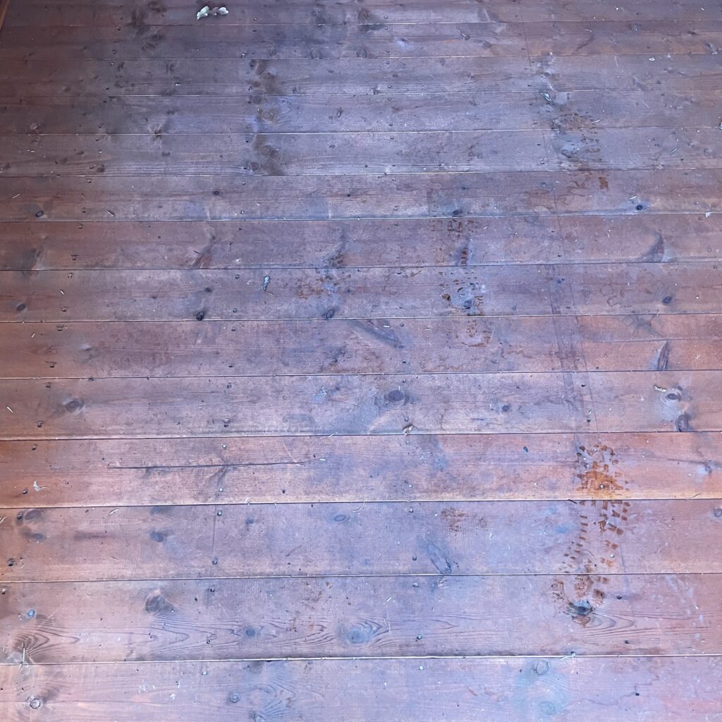 Interior floor of the Tiger Shiplap Apex Shed showing wooden planks
