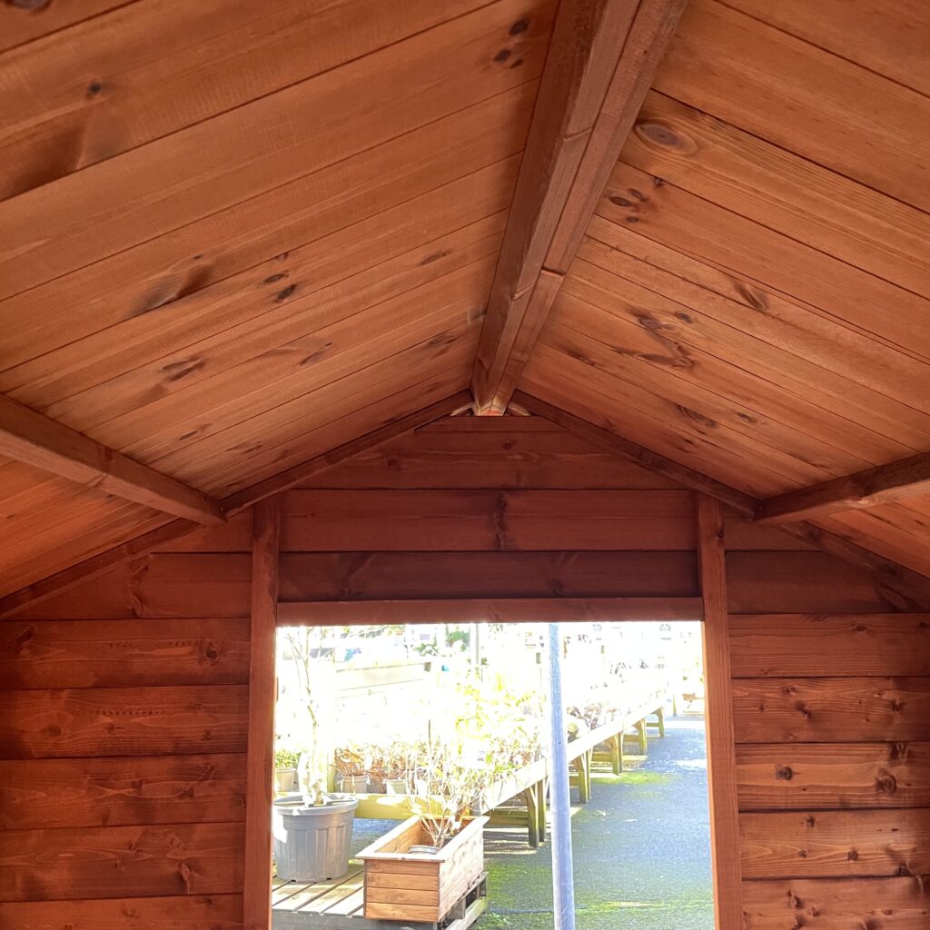 Interior view of a Tiger apex shed showcasing the wooden ceiling and beams