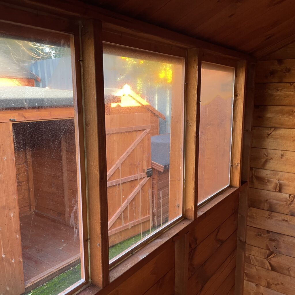 Interior view of a Tiger Shiplap Apex Shed showcasing large windows and wooden walls