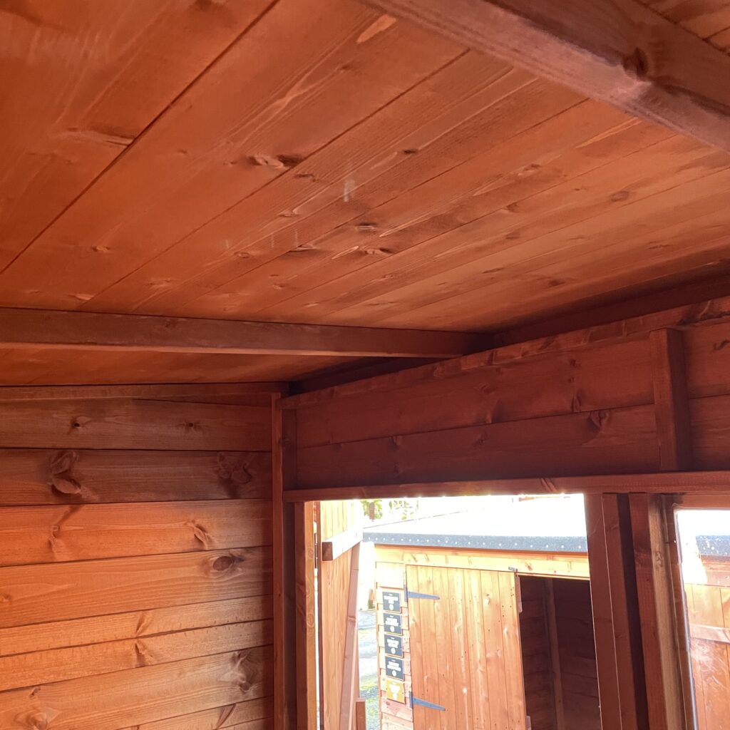 Interior view of a Tiger Shiplap Pent Shed showcasing wooden walls and ceiling structure