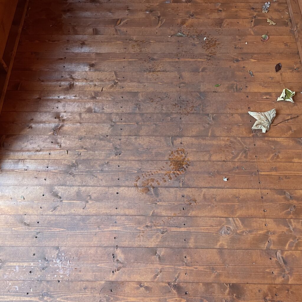 Interior floor of a Tiger Shiplap Pent Shed with wood planks and leaves