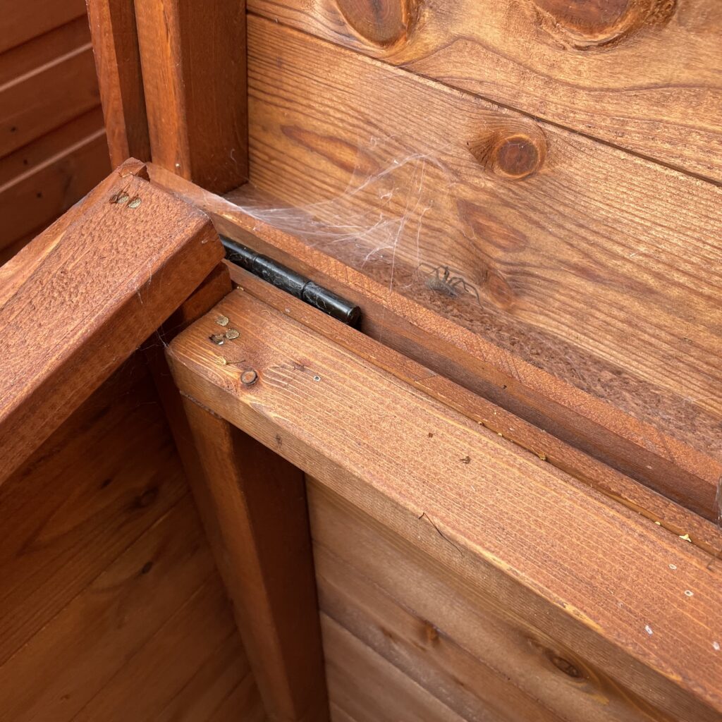 Interior detail of the Tiger Wooden Tool Chest showing hinge and wood grain