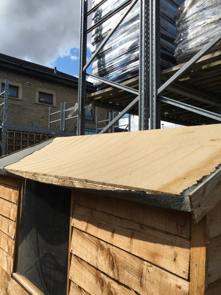 This shows the typical OSB roof found on many budget sheds. In the case of this photograph this was after the felt roof covering was damaged. Note the water damage already occurring to the OSB.