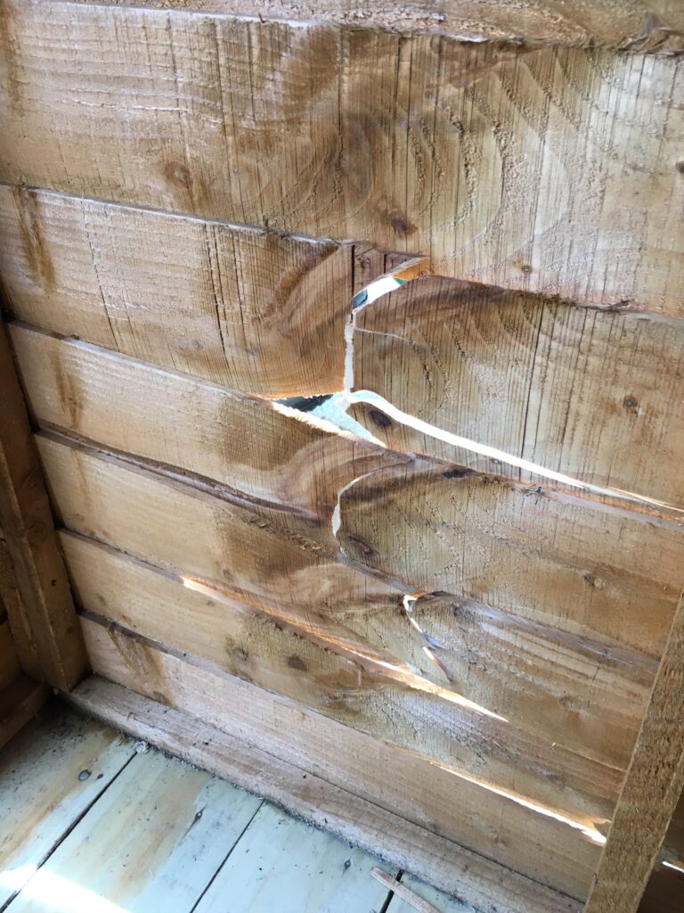 Cheaper alternative showing the thinner Overlap Cladding. This image shows have low quality wood mixed with a low quality construction method can compromise structural integrity. This shows the damage as viewed from the inside.