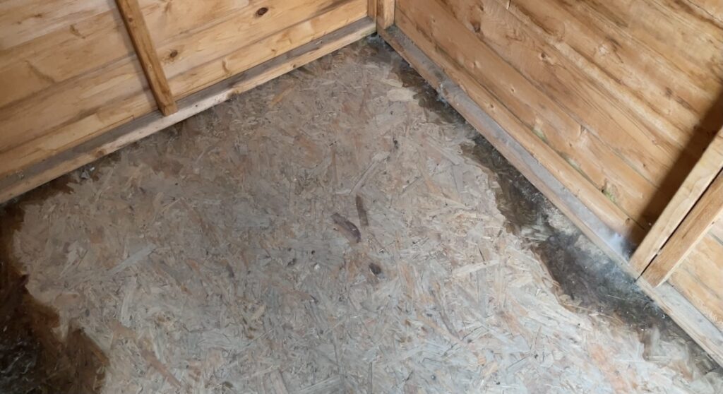 Cheaper alternative showing the poor quality OSB flooring. This picture also shows water leaking into the shed and damaging the OSB. It is only a matter of time before this sheds loses structural integrity.